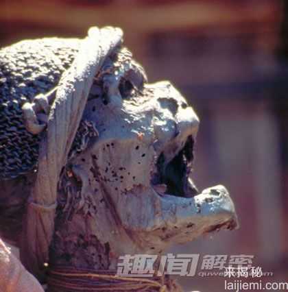 神秘独特的生物 揭俄罗斯女野人之谜136 / 作者:UFO来啦 / 帖子ID:65304