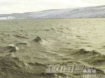 难解谜团：尼斯湖水怪竟会是恐龙？744 / 作者:UFO来啦 / 帖子ID:66078