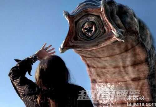 全球最恐怖的昆虫：蒙古沙漠死亡之虫675 / 作者:UFO来啦 / 帖子ID:62258