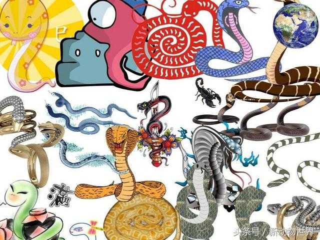 原来中国是毒蛇种类最多的国家，数十种毒蛇都能致人死地943 / 作者:UFO外星人爱好者 / 帖子ID:60514