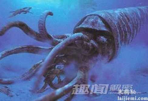 揭秘：远古时期地球上的八大巨型怪物388 / 作者:UFO爱好者 / 帖子ID:66604