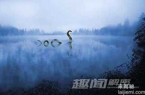 解密：传说的十大水怪竟真存在909 / 作者:UFO来啦 / 帖子ID:65786