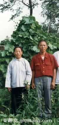 1977年7月-9月,河北省肥乡县村民黄延秋 三次失踪,一夜之间辗转大半个中国,出现在上海火车站711 / 作者:UFO来啦 / 帖子ID:61171 1977年7月-9月,河北省肥乡县村民黄延秋 三次失踪,一夜之间辗转大半个中国,出现在上海火车站711 / 作者:UFO来啦 / 帖子ID:61171