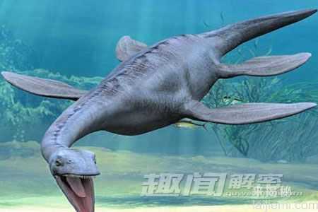 尼斯湖水怪是世界上最后一只活恐龙?680 / 作者:UFO外星人爱好者 / 帖子ID:60123 尼斯湖水怪是世界上最后一只活恐龙?680 / 作者:UFO外星人爱好者 / 帖子ID:60123