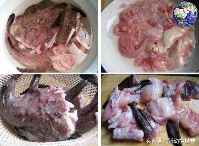 鮟鱇鱼：长得丑但味道鲜美，股神巴菲特最爱440 / 作者:UFO来啦 / 帖子ID:66226