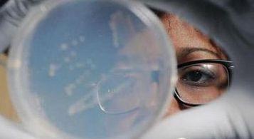 这种生物能活10万年，可能来自外太空3 / 作者:UFO外星人爱好者 / 帖子ID:58563