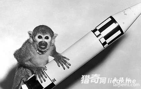 10种被送上太空的奇葩物品：DNA和精液435 / 作者:UFO来啦 / 帖子ID:61170