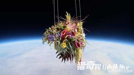 10种被送上太空的奇葩物品：DNA和精液801 / 作者:UFO来啦 / 帖子ID:61170