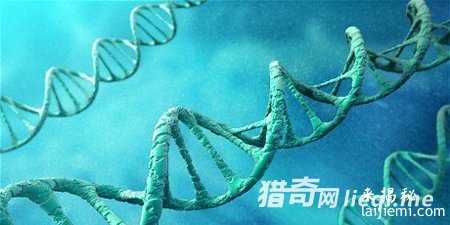 10种被送上太空的奇葩物品：DNA和精液196 / 作者:UFO来啦 / 帖子ID:61170