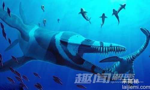 怪哉！动物性交配行为 竟源自4.3亿年前239 / 作者:UFO来啦 / 帖子ID:63778