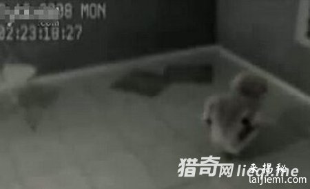 高层封杀：美军曾回收飞碟拘禁外星人371 / 作者:UFO外星人爱好者 / 帖子ID:57590