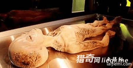 高层封杀：美军曾回收飞碟拘禁外星人685 / 作者:UFO外星人爱好者 / 帖子ID:57590