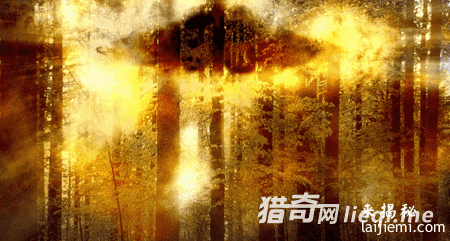 高层封杀：美军曾回收飞碟拘禁外星人209 / 作者:UFO外星人爱好者 / 帖子ID:57590