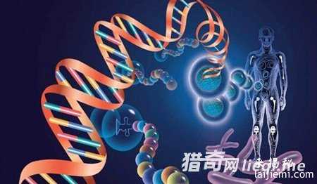 人类文明根源被找到 全是外星人创造38 / 作者:UFO外星人爱好者 / 帖子ID:57511