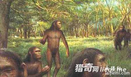 人类文明根源被找到 全是外星人创造32 / 作者:UFO外星人爱好者 / 帖子ID:57511