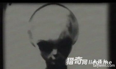 人类文明根源被找到 全是外星人创造380 / 作者:UFO外星人爱好者 / 帖子ID:57511