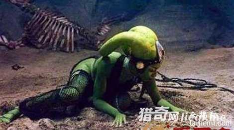 惊！东北农民伺候女外星人620 / 作者:UFO来啦 / 帖子ID:61051