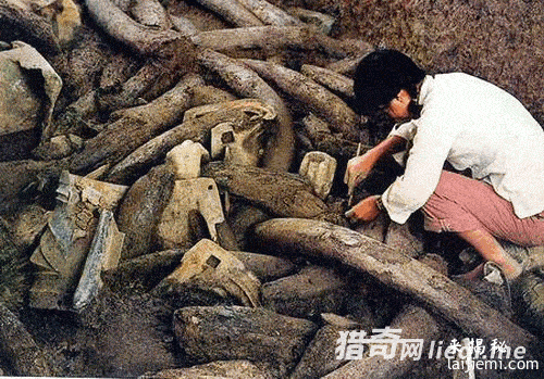 三星堆文明背后竟藏中国一惊天秘密536 / 作者:UFO来啦 / 帖子ID:61344