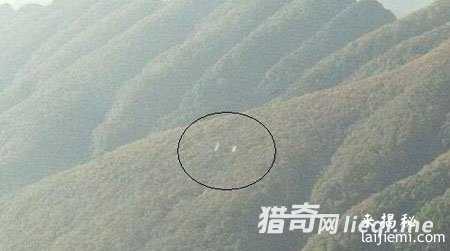 剑门关UFO时速2万公里,速度惹争议132 / 作者:UFO外星人爱好者 / 帖子ID:59904 剑门关UFO时速2万公里,速度惹争议132 / 作者:UFO外星人爱好者 / 帖子ID:59904