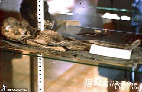 罗斯威尔事件：外星人真来过地球？889 / 作者:UFO外星人爱好者 / 帖子ID:57561