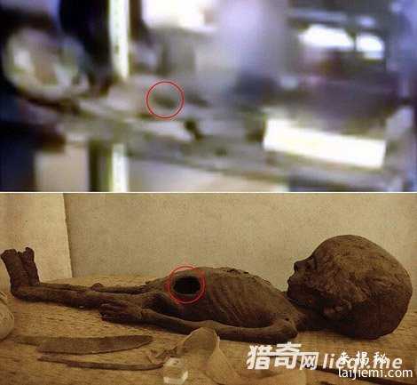 罗斯威尔事件：外星人真来过地球？801 / 作者:UFO外星人爱好者 / 帖子ID:57561