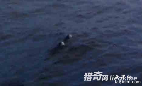 俄罗斯神秘水怪湖 三年19人死不见尸557 / 作者:UFO来啦 / 帖子ID:62149