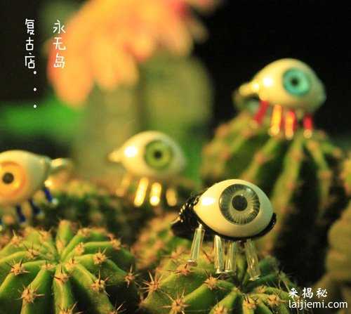 为什么男人比女人更相信外星人？992 / 作者:UFO来啦 / 帖子ID:61032