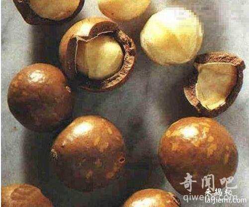 世界上最贵的食物，一块披萨接近8万？750 / 作者:UFO外星人爱好者 / 帖子ID:58790