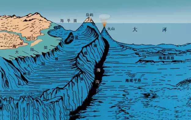 世界上最深的海沟：马里亚纳海沟发现未知生物【多图】584 / 作者:UFO来啦 / 帖子ID:61573