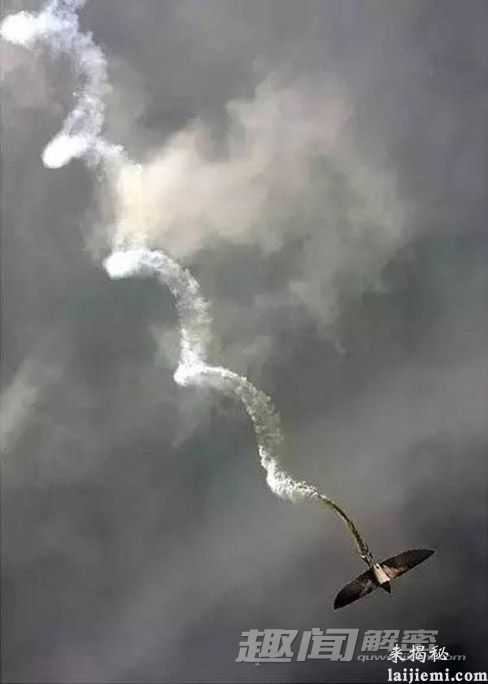 神秘！地球上曾经出现过的十大恐怖生物795 / 作者:UFO来啦 / 帖子ID:65318