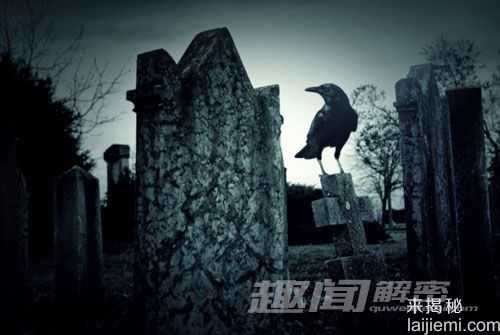 史上十大疯狂的神鸟 比凤凰更加奇异128 / 作者:UFO来啦 / 帖子ID:62733