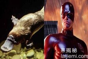 盘点自然界中8大超能力动物795 / 作者:UFO来啦 / 帖子ID:65171