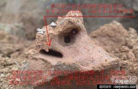 男子挖出巨型蚁穴：活捉30岁蚁后31 / 作者:UFO来啦 / 帖子ID:64981