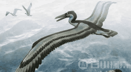 俄罗斯渔夫晒照 外星生物大集合972 / 作者:UFO来啦 / 帖子ID:61013
