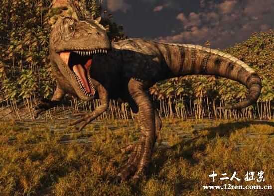 异特龙：肉食恐龙的代表，长10米重4吨(侏罗纪霸王)652 / 作者:UFO来啦 / 帖子ID:63710