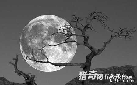 地球真实作用：外星人囚禁人类的监狱892 / 作者:UFO外星人爱好者 / 帖子ID:57550