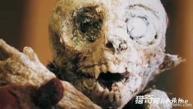 风干成木乃伊的外星人北鼻90 / 作者:UFO来啦 / 帖子ID:60907