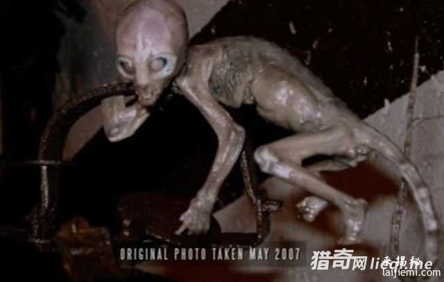 风干成木乃伊的外星人北鼻230 / 作者:UFO来啦 / 帖子ID:60907