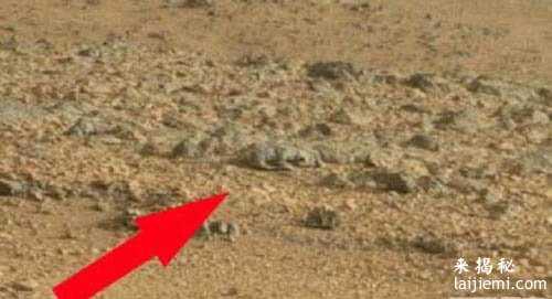 火星发现生命 UFO探索者呼吁联合国调查214 / 作者:UFO来啦 / 帖子ID:60826