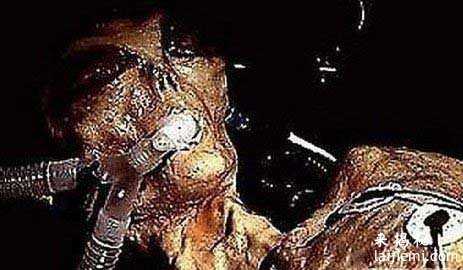 奥巴马：外星人正严格控制人类473 / 作者:UFO来啦 / 帖子ID:60998