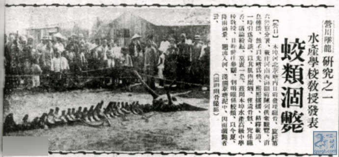 1934年辽宁营口坠龙事件，难道龙真实存在？747 / 作者:UFO来啦 / 帖子ID:61097
