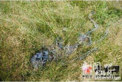 盘点世界上十大最恐怖诡异的地方 人骨磨粉治百病214 / 作者:UFO来啦 / 帖子ID:65037