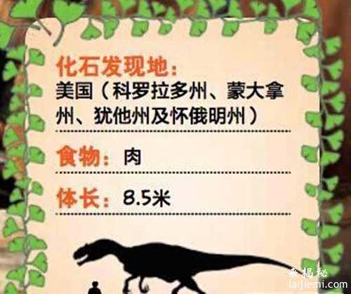 当一个小孩站在恐龙面前会是怎样的比例你知道么？508 / 作者:UFO外星人爱好者 / 帖子ID:60667