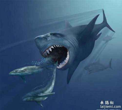 盘点远古时期十大海洋猛兽：都是秒杀大白鲨的存在！198 / 作者:UFO来啦 / 帖子ID:65188