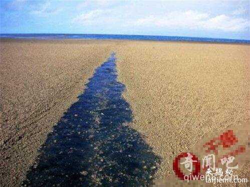 幽灵岛？大海中央凭空出现一片沙滩276 / 作者:UFO来啦 / 帖子ID:63683