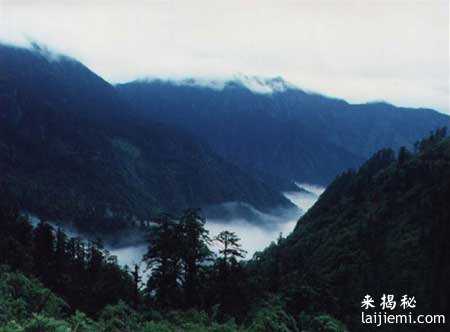 1950年；四川黑竹沟里面消失了很多人，包括国民党军队和许多科考勘察队，很多人都是凭空消失的820 / 作者:UFO来啦 / 帖子ID:61161