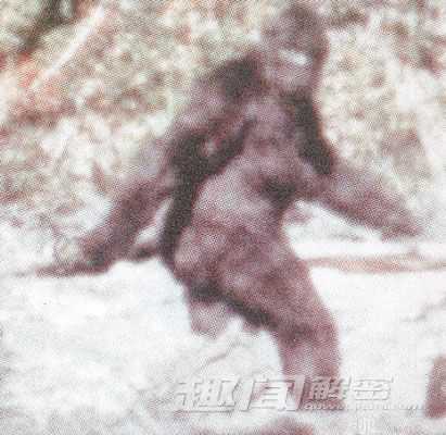全球十大神秘怪兽：黑色猴子VS死亡之虫93 / 作者:UFO来啦 / 帖子ID:62164
