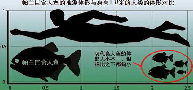 食人鱼能够称霸水下吗？532 / 作者:UFO来啦 / 帖子ID:66169