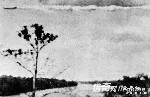 真有外星人？全球百年经典UFO照片296 / 作者:UFO外星人爱好者 / 帖子ID:57538