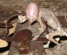 东北男人与外星人发生关系676 / 作者:UFO来啦 / 帖子ID:61022